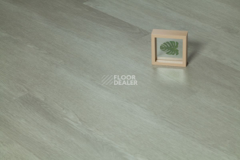 Tarkett Funky House CRUZE фото 4 | FLOORDEALER